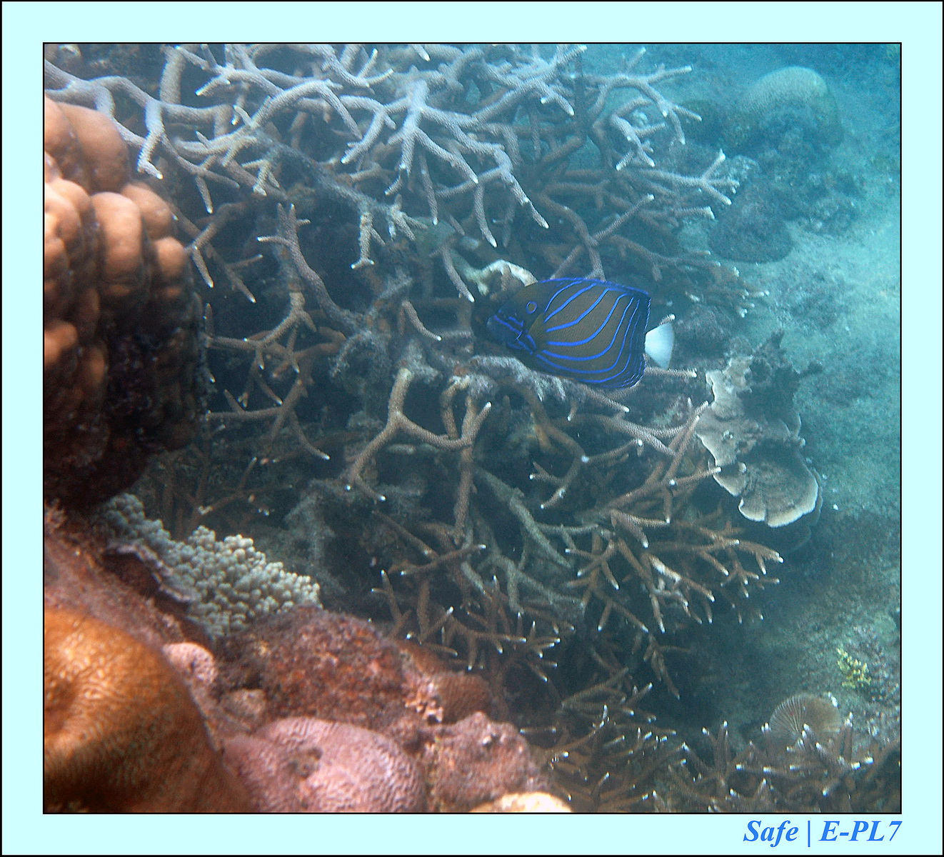 2015   07   Peranthian Islands 39